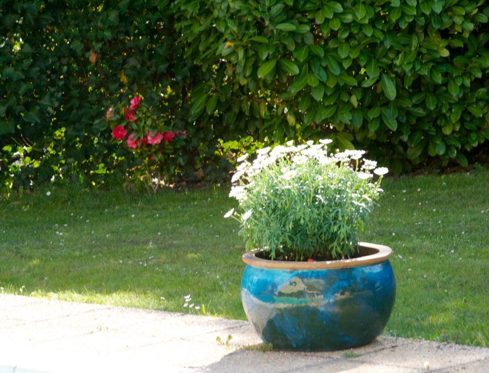 Bed and Breakfast Les Hibiscus Maisons-Laffitte Exterior foto